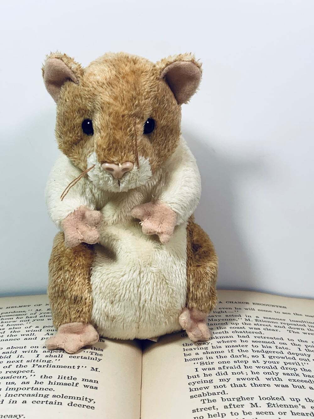 Pellet the Hamster TY Beanie Babies plush